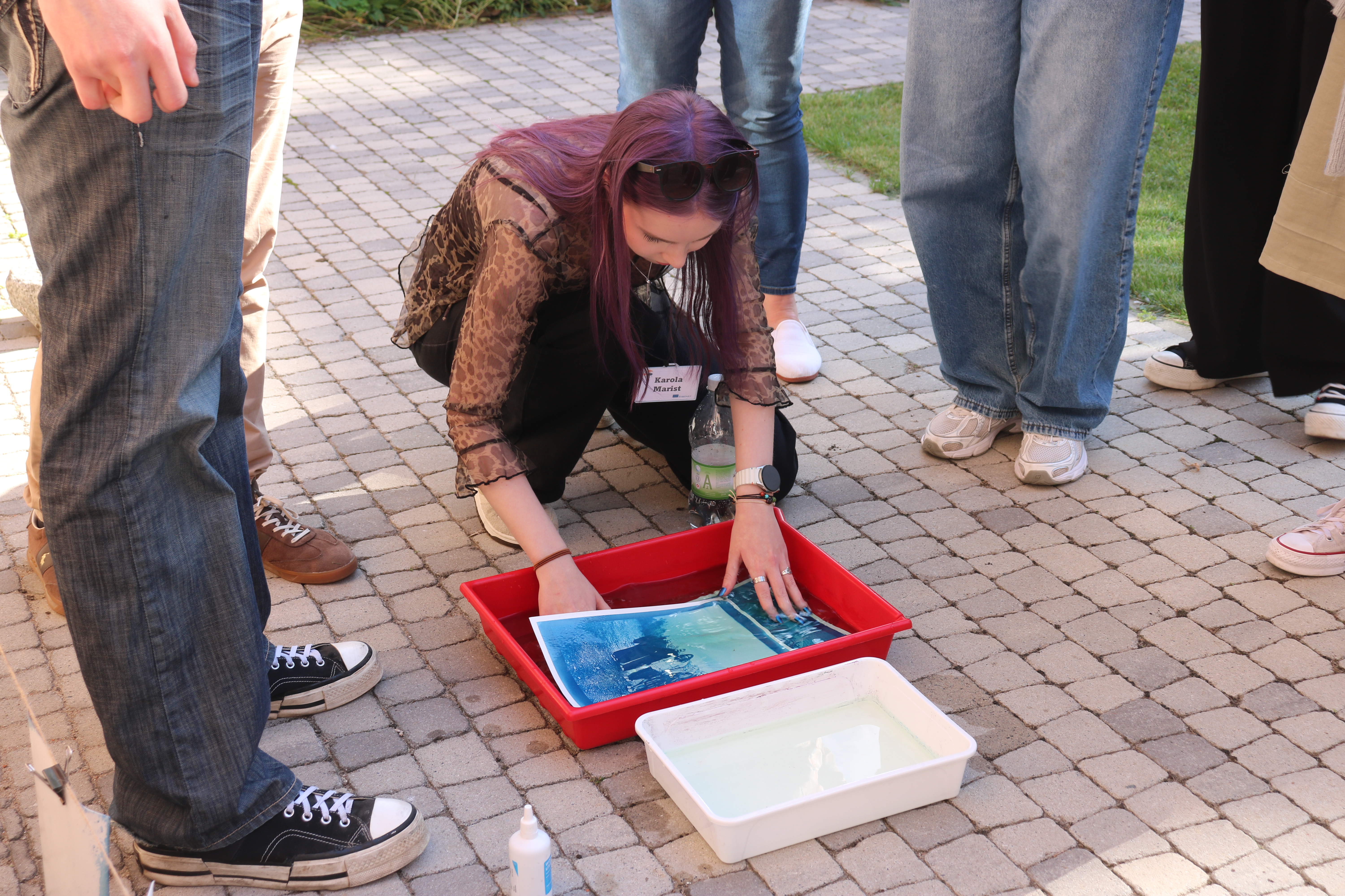 Student exchange blog: "Art is Green" in Poland September/October 2026 by Karola pilt