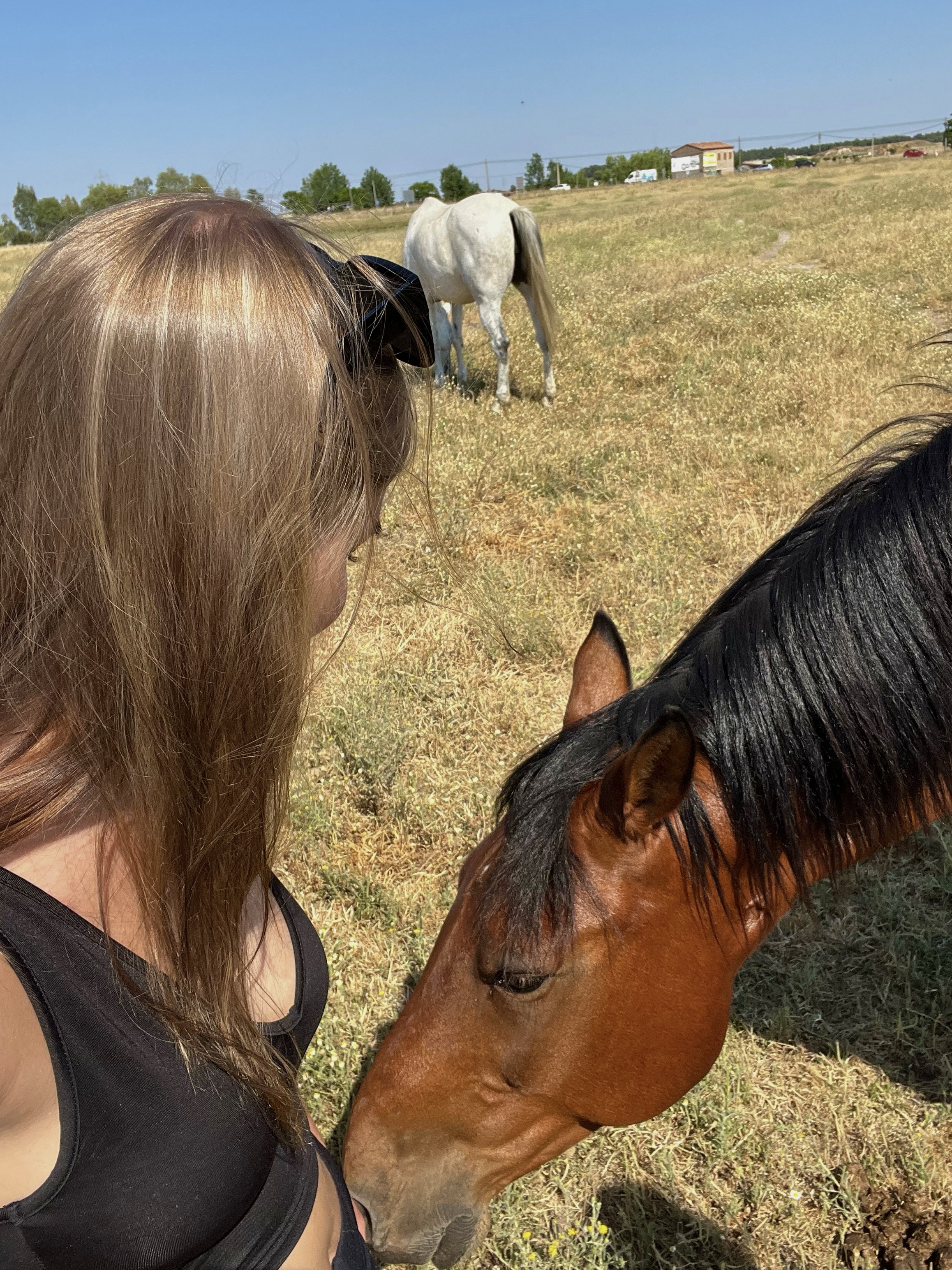 Youth Exchange Blog: Equestrian Tourism in Spain by Mette pilt