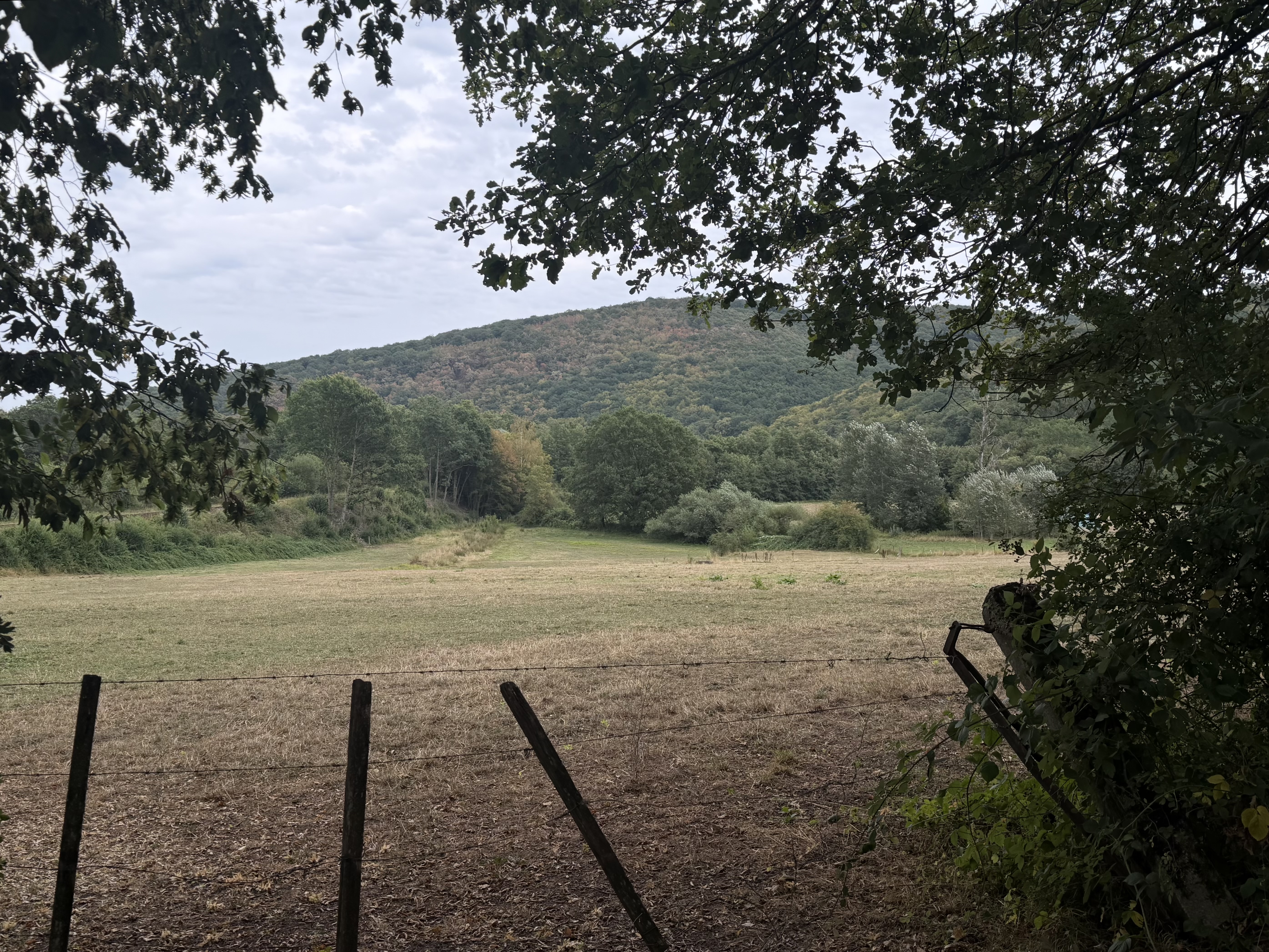 Youth Exchange Blog: "PowerUp!" in Viroinval, BELGIUM by Elisabeth pilt
